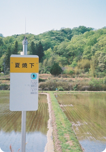 徳地の風景